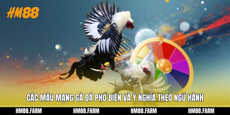 Các màu mạng gà đá phổ biến và ý nghĩa theo ngũ hành