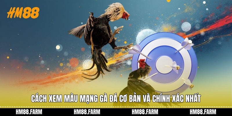 Cách xem màu mạng gà đá cơ bản và chính xác nhất