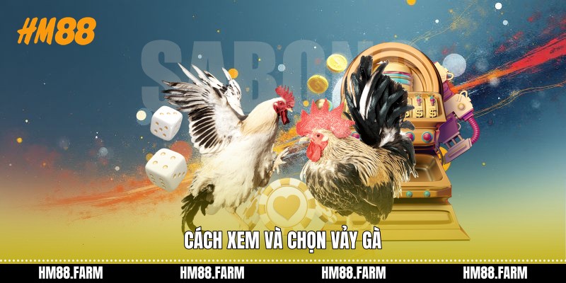 Cách xem và chọn vảy gà