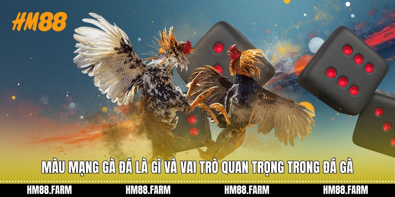 Màu mạng gà đá là gì và vai trò quan trọng trong đá gà